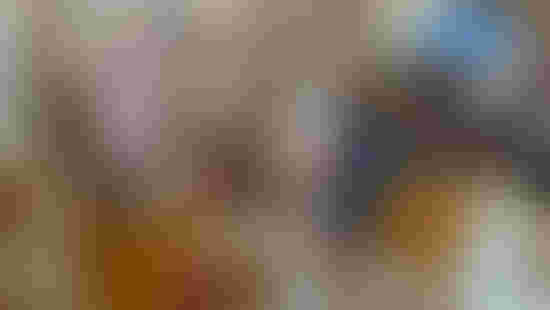 P1074187.jpeg